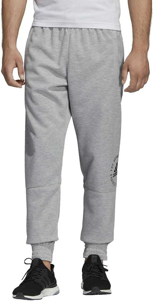 Adidas Kelnės Sid Pants Pilkas DQ1472