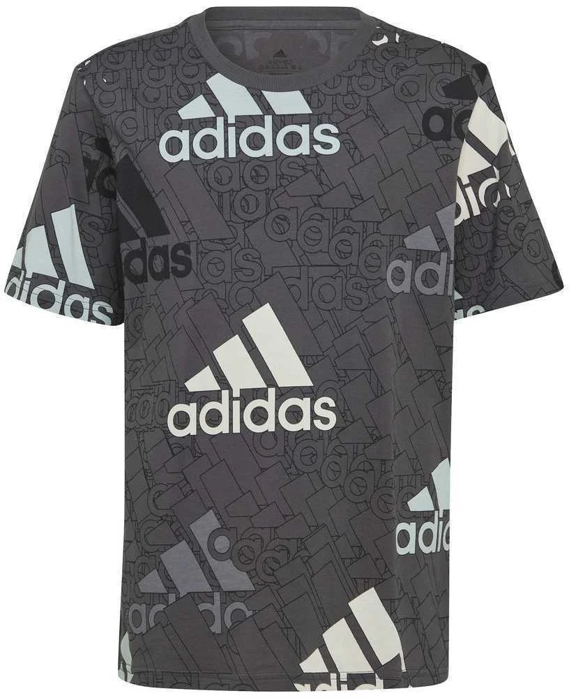Adidas Marškinėliai Berniukams U Bl Logo Tee Pilkas HP0819