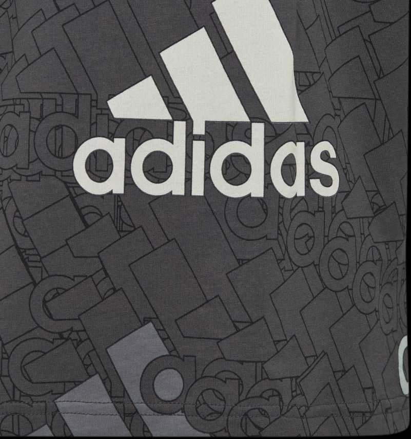 Adidas Marškinėliai Berniukams U Bl Logo Tee Pilkas HP0819