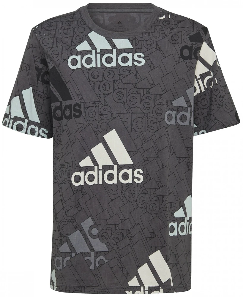 Adidas Marškinėliai Berniukams U Bl Logo Tee Pilkas HP0819
