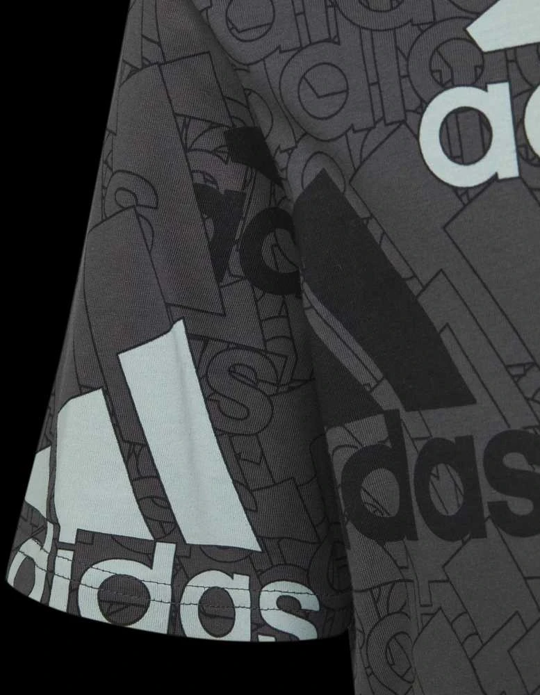 Adidas Marškinėliai Berniukams U Bl Logo Tee Pilkas HP0819