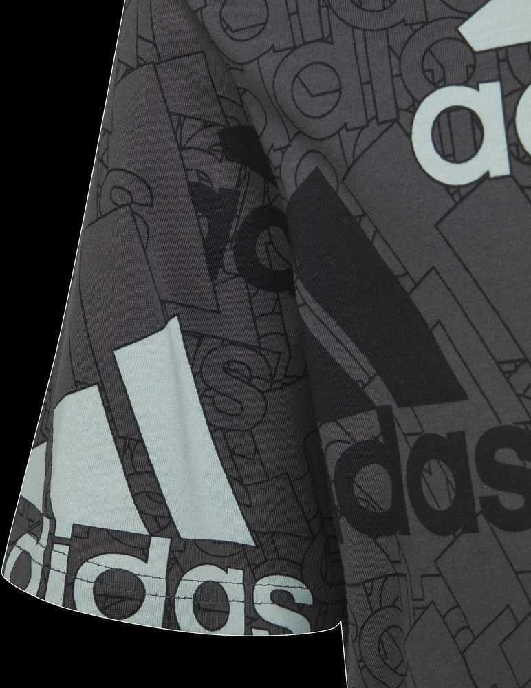 Adidas Marškinėliai Berniukams U Bl Logo Tee Pilkas HP0819