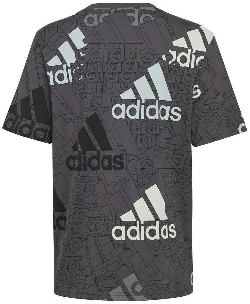 Adidas Marškinėliai Berniukams U Bl Logo Tee Pilkas HP0819