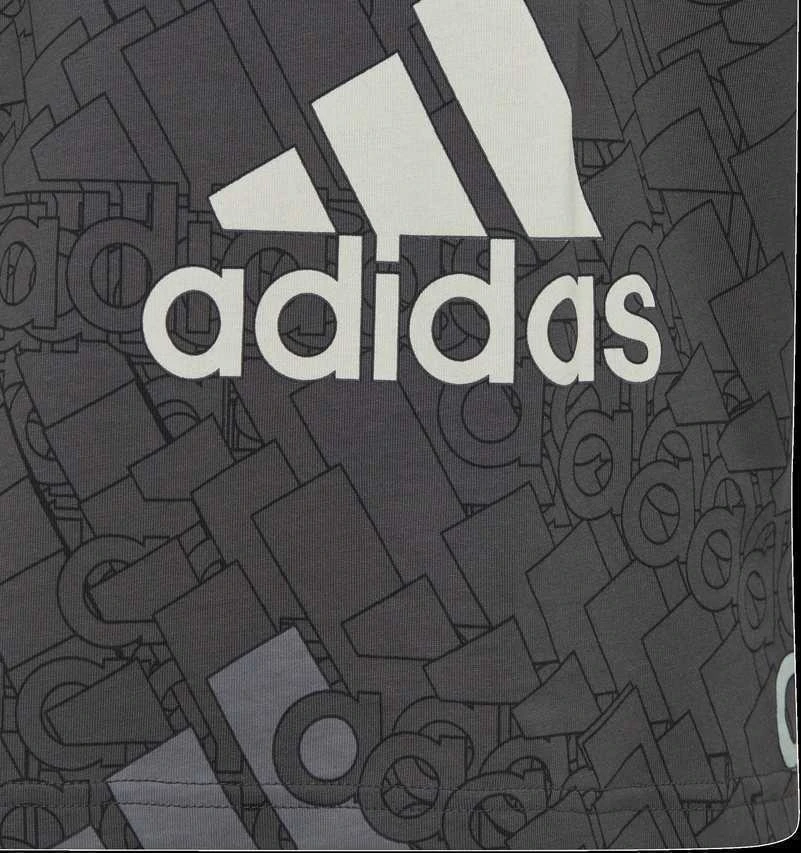 Adidas Marškinėliai Berniukams U Bl Logo Tee Pilkas HP0819
