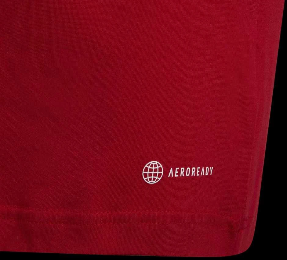 Adidas Marškinėliai Paaugliams Ent22 Tee Y Raudona HC0446