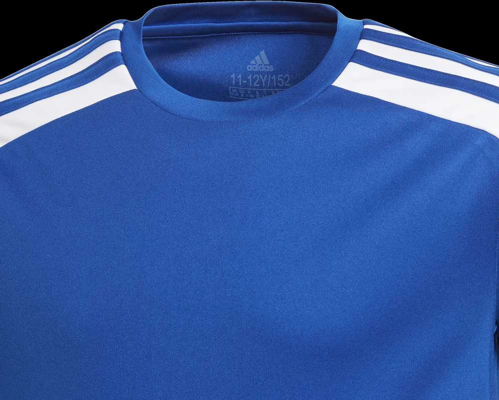 Adidas Marškinėliai Paaugliams Squad 21 Jsy Y Mėlyna GK9151