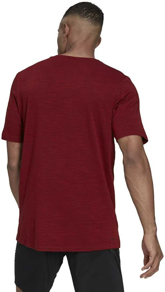 Adidas Marškinėliai Vyrams City Elevated T Burgundy