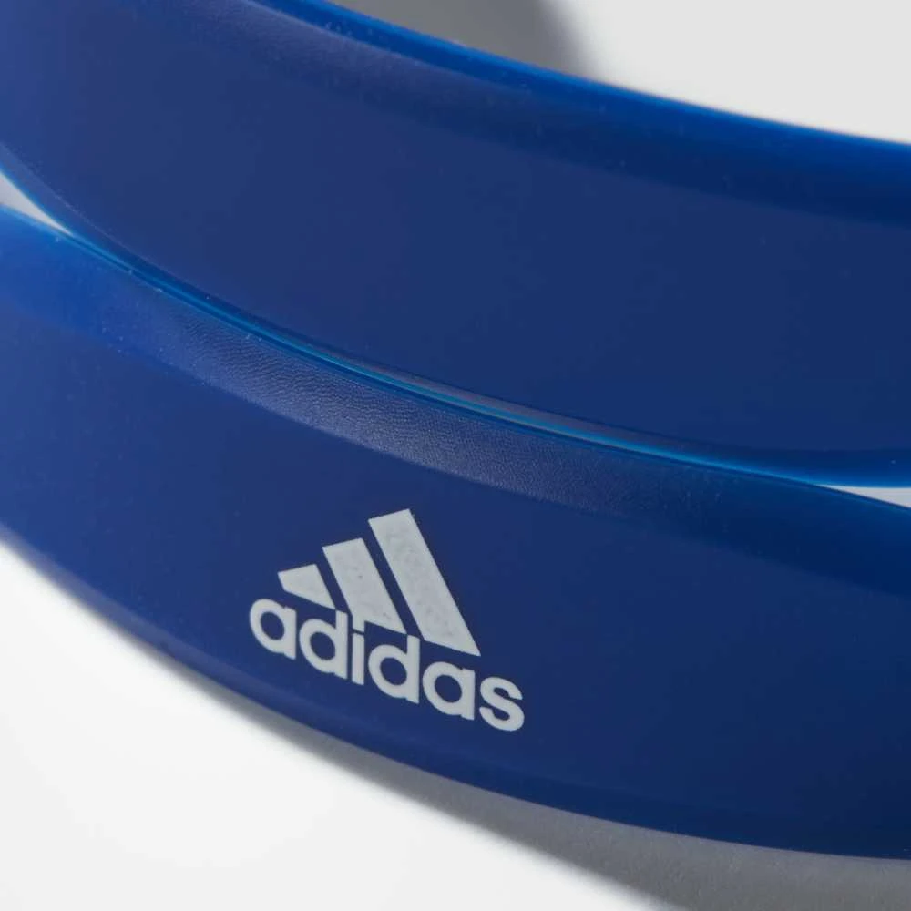 Adidas Plaukimo Akiniai PERSISTAR FIT M Mėlyna