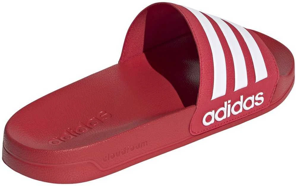Adidas Šlepetės Vyrams Adilette Shower Raudona FY7815