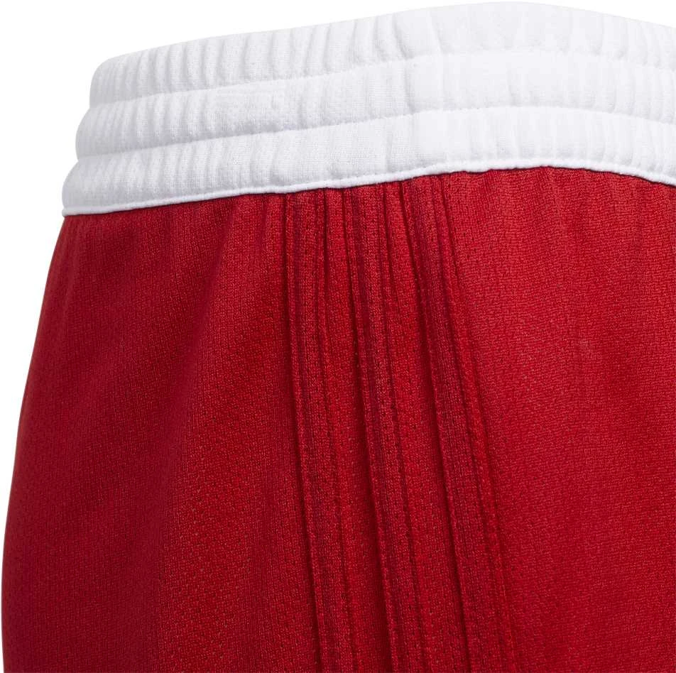 Adidas Šortai Paaugliams 3G Spee Rev Shr Raudona Baltas DY6627