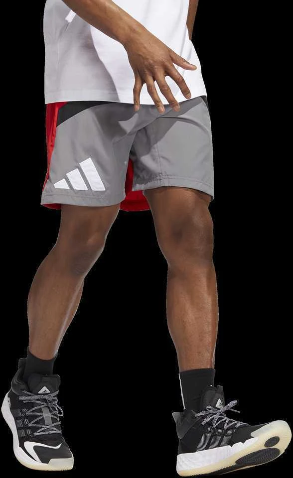 Adidas Šortai Vyrams Galaxy Short Pilkas Raudona HE2902