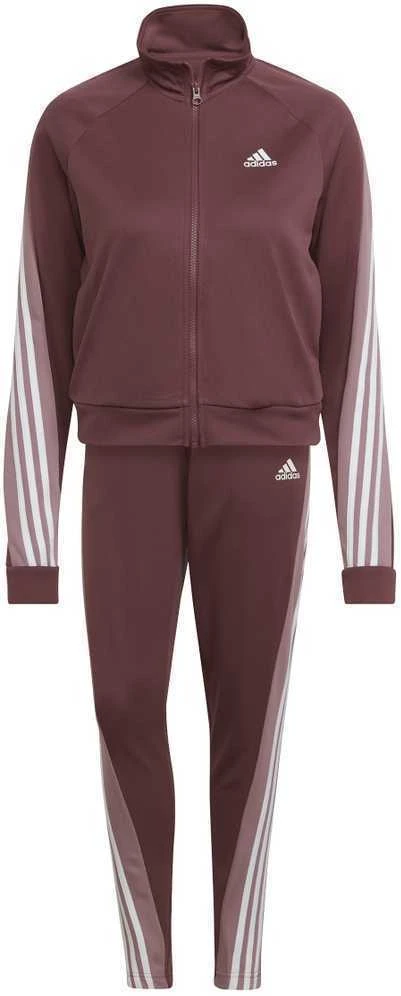 Adidas Sportinis Kostiumas Moterims W Teamsport Ts Bordo HD6568