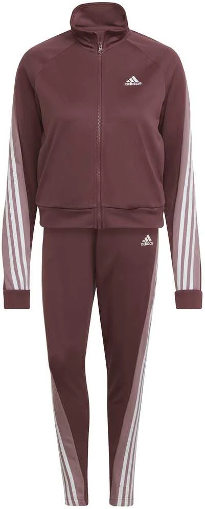 Adidas Sportinis Kostiumas Moterims W Teamsport Ts Bordo HD6568