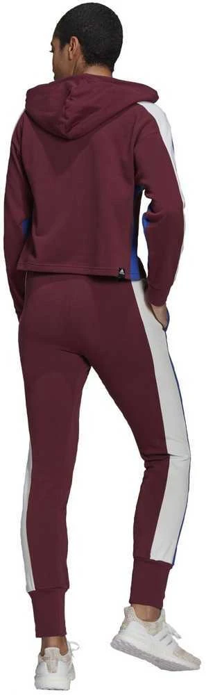 Adidas Sportinis Kostiumas Moterims W Ts Big Logo Burgundy H48550
