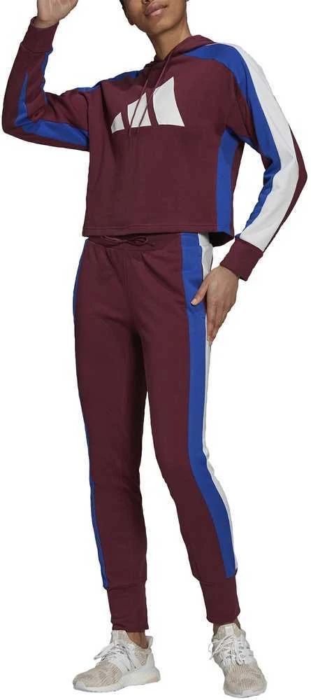 Adidas Sportinis Kostiumas Moterims W Ts Big Logo Burgundy H48550