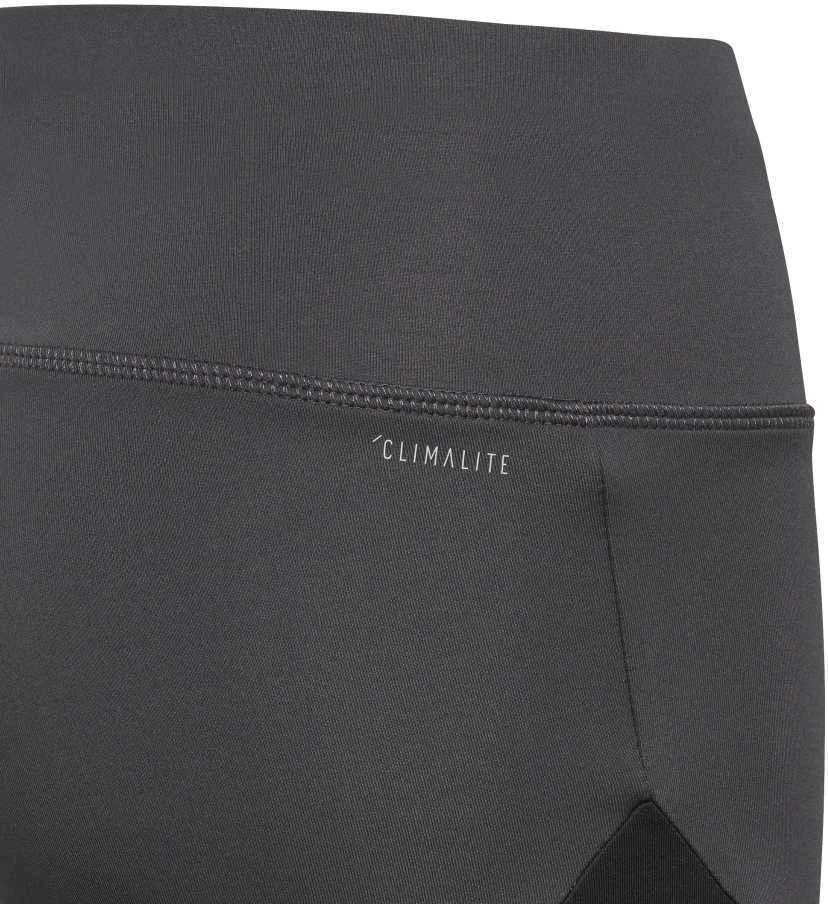 Adidas Tamprės Paaugliams Yg TR Cb Tights Pilkas Rožinė DN8428