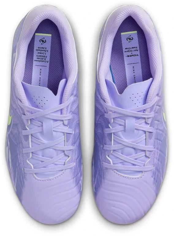 Nike Avalynė Paaugliams Nk Jr Legend 10 Nike United Academy Fg/Mg Violetinė HF1497 500