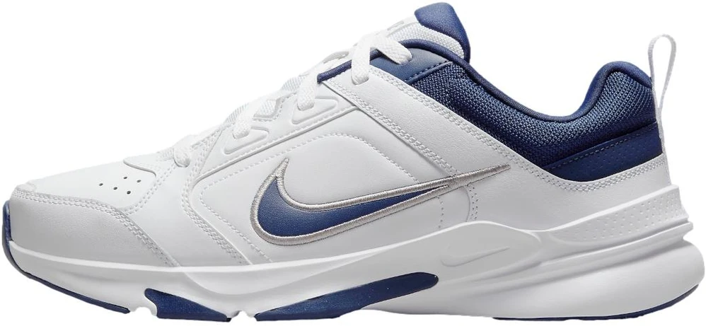 Nike Avalynė Vyrams Nike Defyallday Baltas Mėlyna DJ1196 100