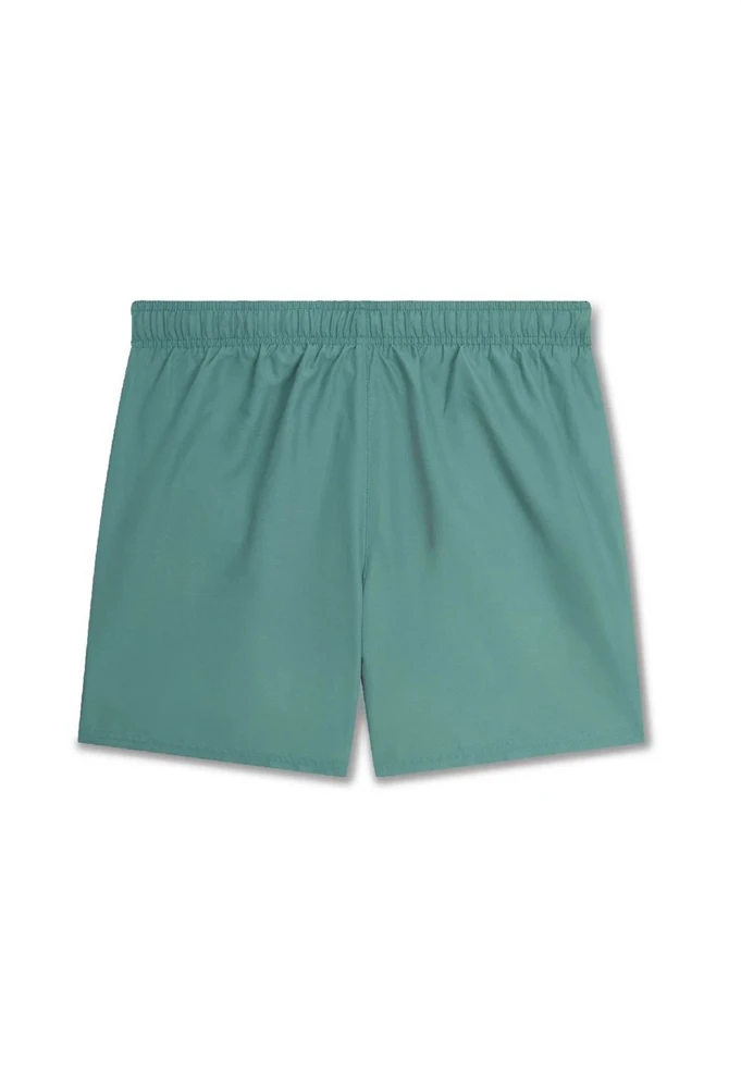 Nike Maudymosi Šortai Vyrams 5""Volley Short Žalias NESSA560 302