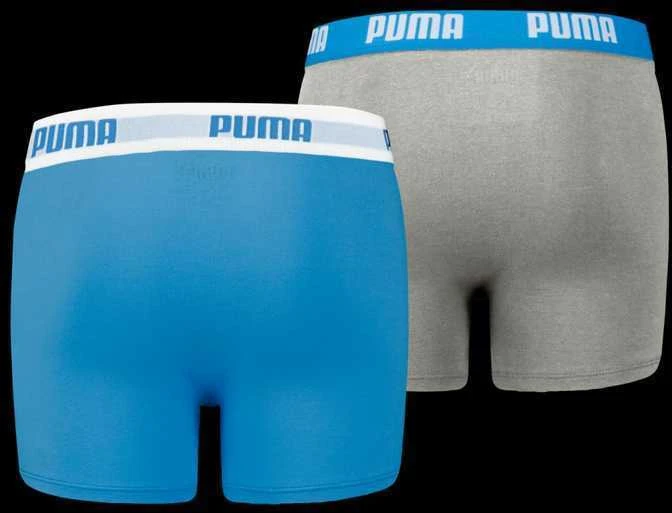 Puma Apatiniai Paaugliams Boys Boxer Pilkas Mėlyna 935454 02