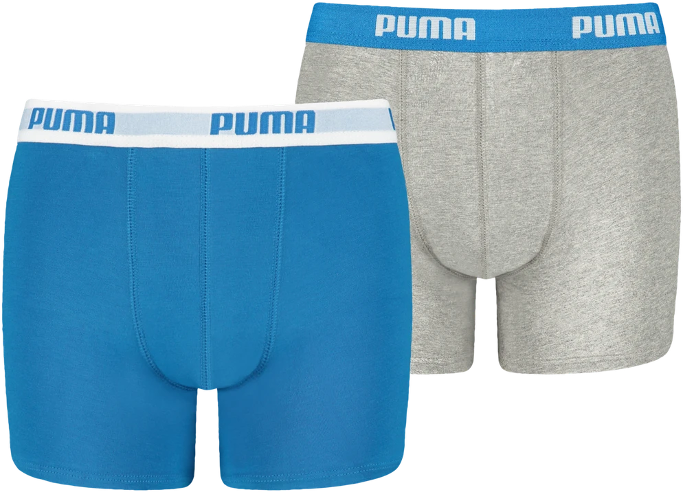 Puma Apatiniai Paaugliams Boys Boxer Pilkas Mėlyna 935454 02