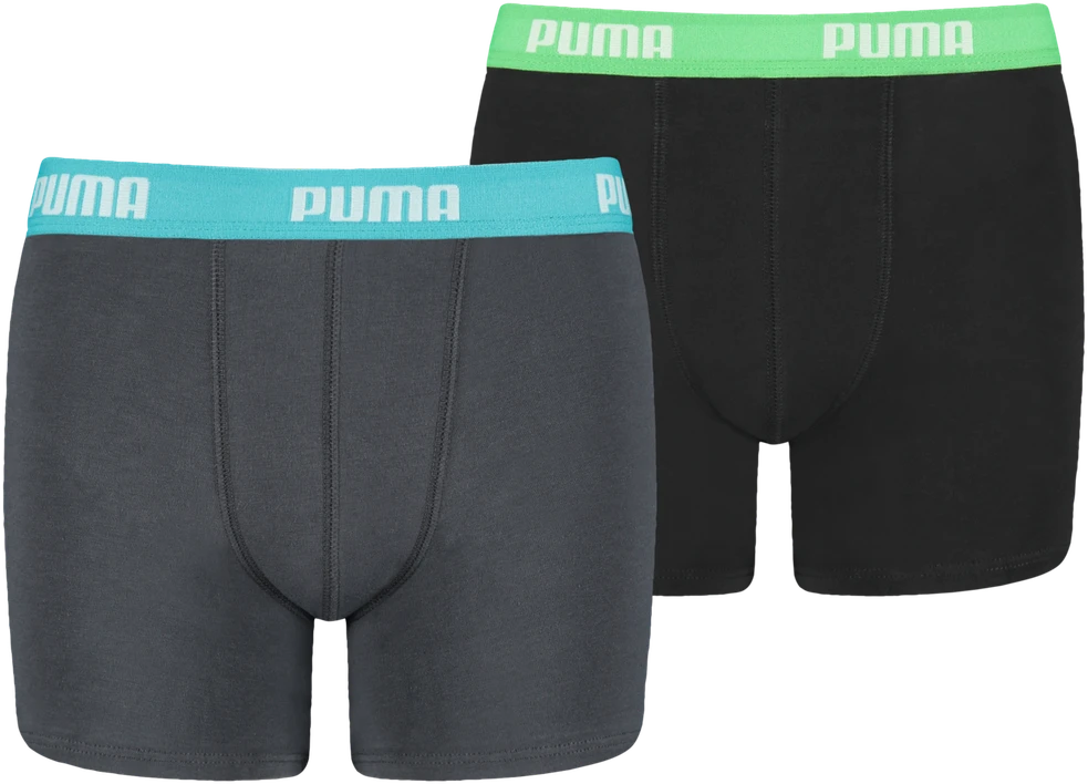 Puma Apatiniai Paaugliams Boys Boxer Pilkas Juodas 935454 01