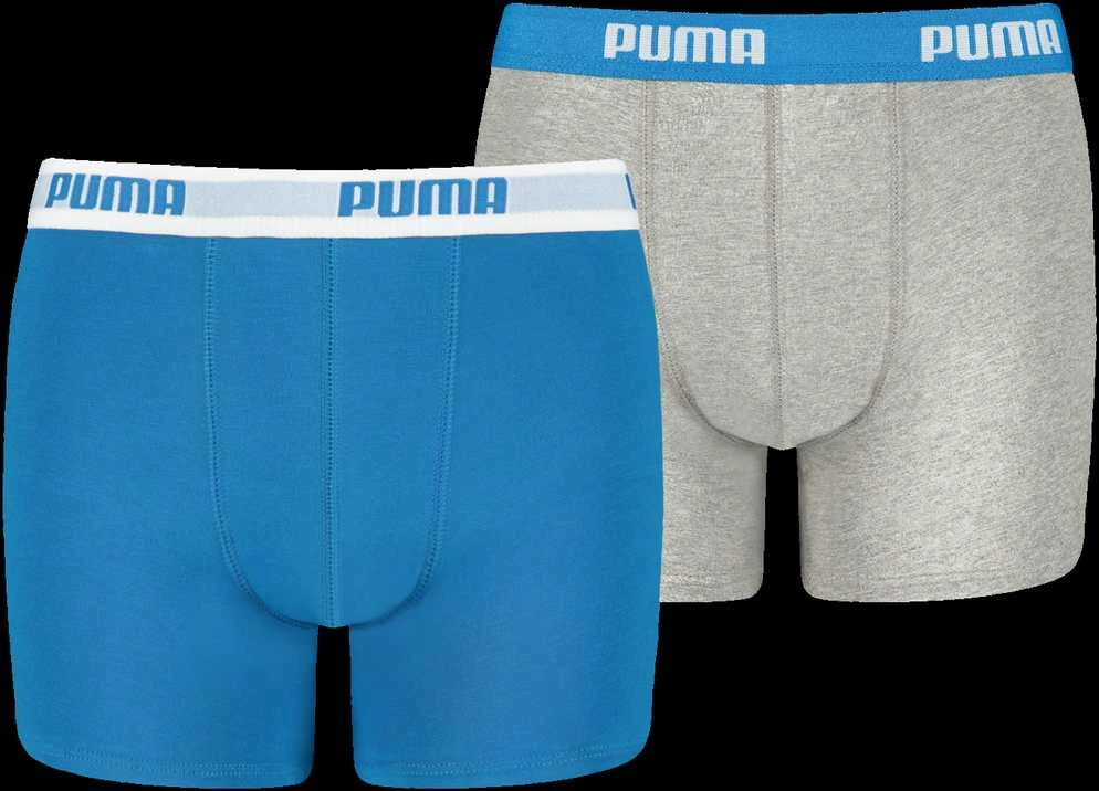 Puma Apatiniai Paaugliams Boys Boxer Pilkas Mėlyna 935454 02