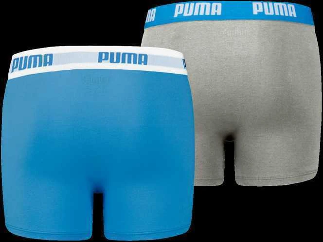 Puma Apatiniai Paaugliams Boys Boxer Pilkas Mėlyna 935454 02