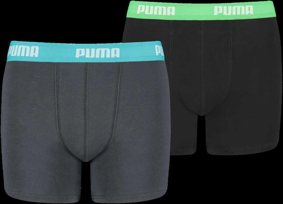 Puma Apatiniai Paaugliams Boys Boxer Pilkas Juodas 935454 01