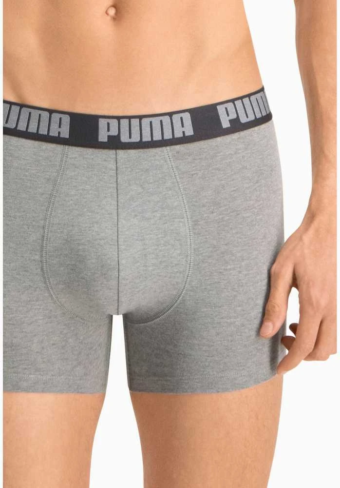 Puma Apatiniai Vyrams Basic Boxer Pilkas