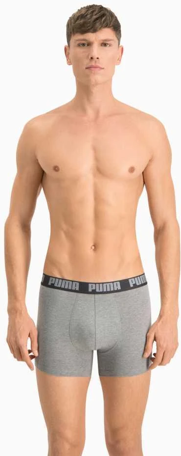 Puma Apatiniai Vyrams Basic Boxer Pilkas