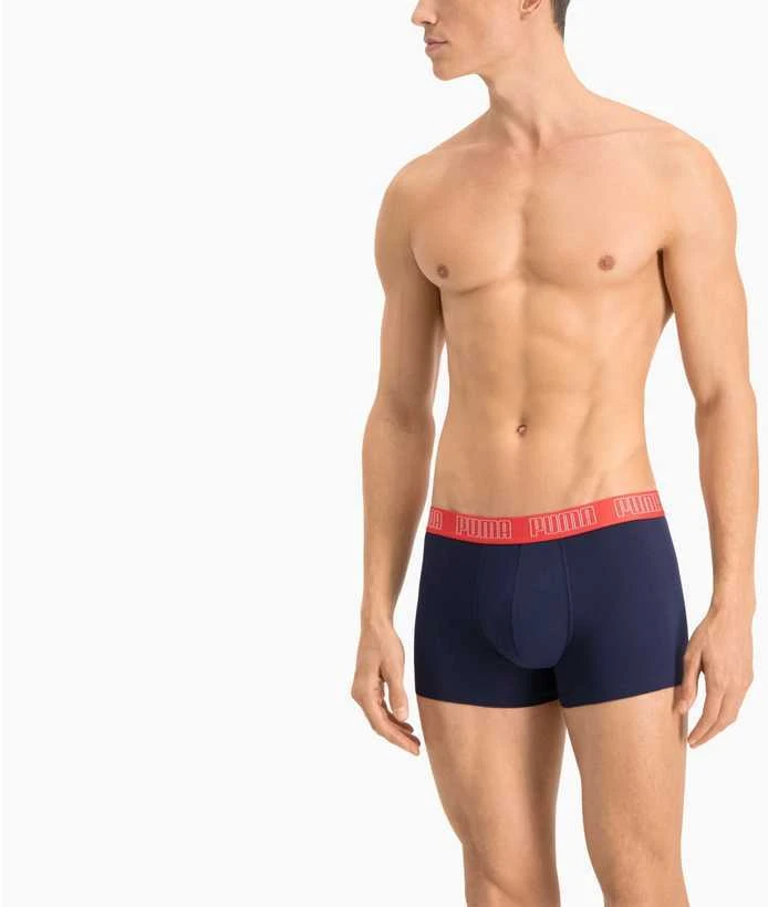 Puma Apatiniai Vyrams Basic Trunk Mėlyna Pilkas 935015 06
