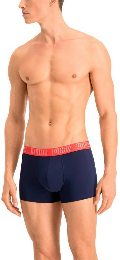 Puma Apatiniai Vyrams Basic Trunk Mėlyna Pilkas 935015 06