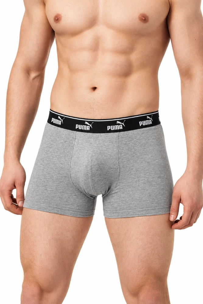 Puma Apatiniai Vyrams Men Elements Juodas Pilkas 938748 04