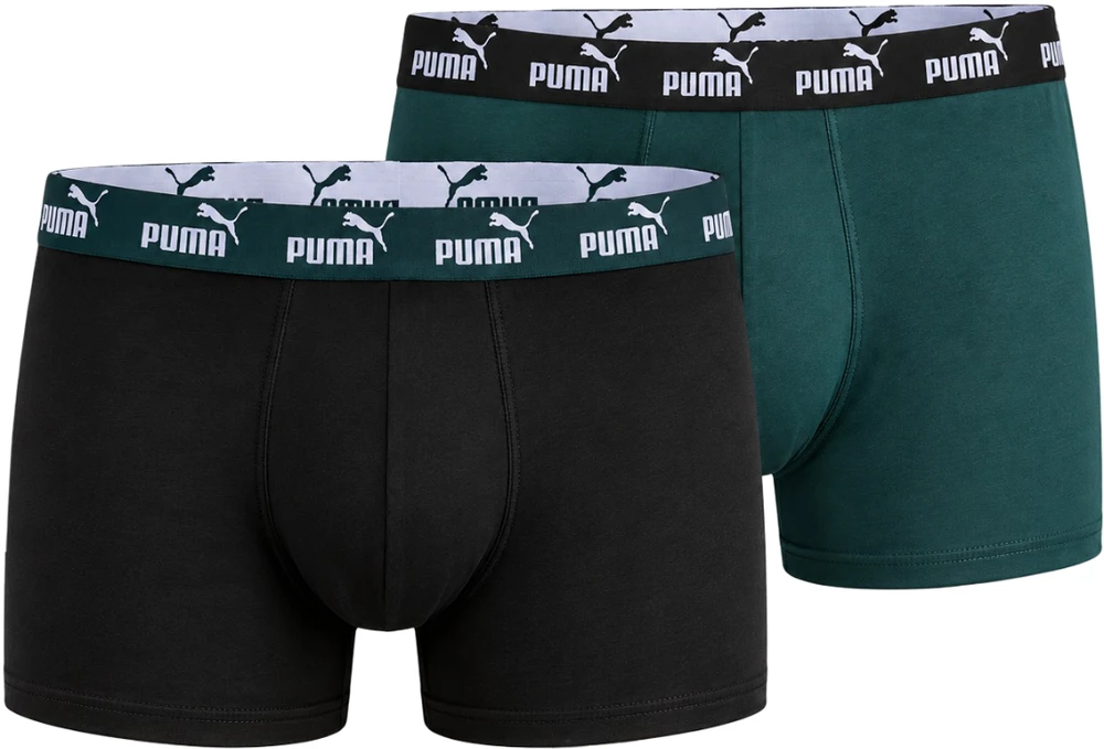 Puma Apatiniai Vyrams Men Elements Juodas Žalias 938753 17