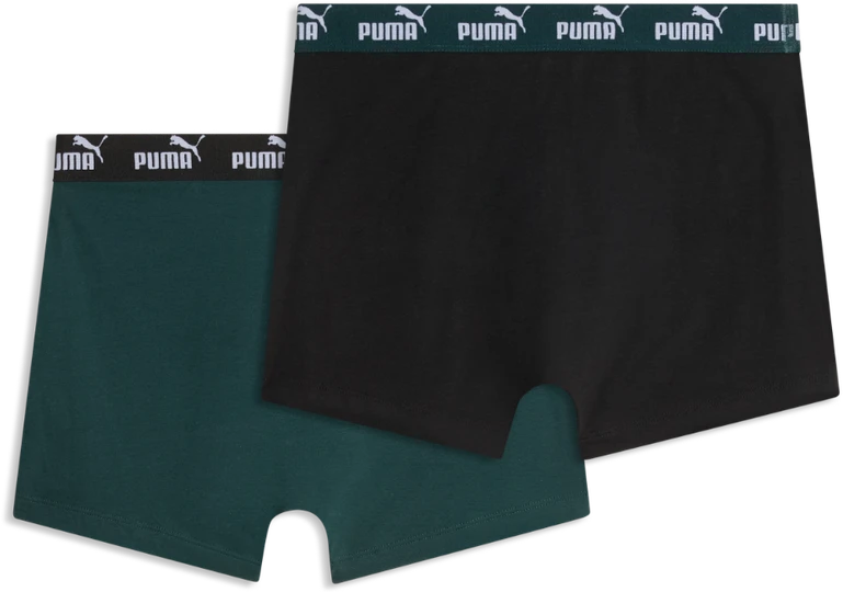 Puma Apatiniai Vyrams Men Elements Juodas Žalias 938753 17