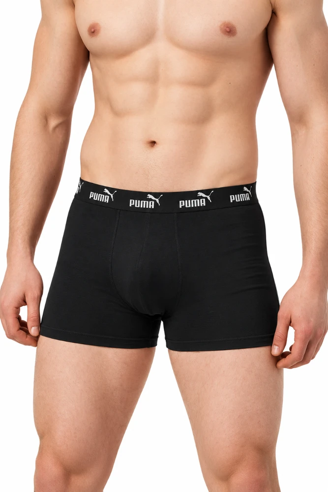 Puma Apatiniai Vyrams Men Elements Juodas Pilkas 938748 04