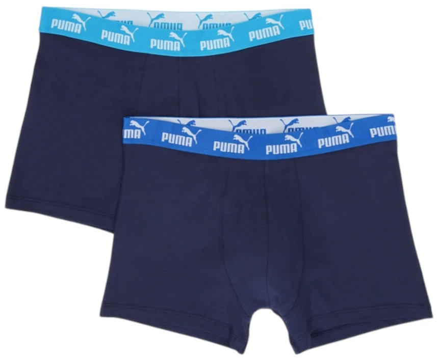 Puma Apatiniai Vyrams Men Elements Mėlyna 938753 06