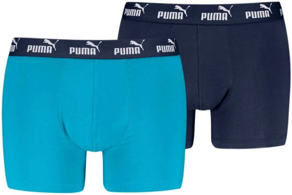 Puma Apatiniai Vyrams Men Elements Mėlyna 938753 08