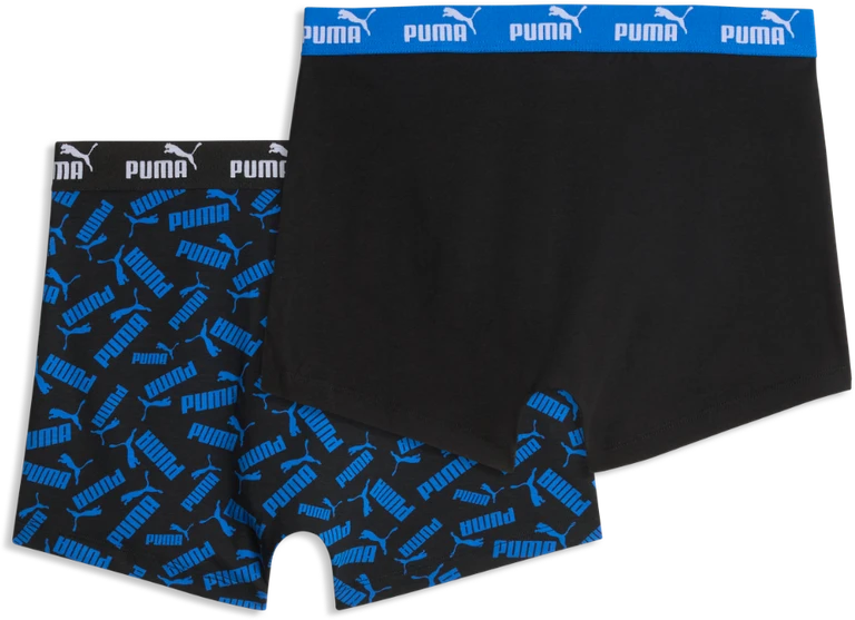 Puma Apatiniai Vyrams Men Elements Mėlyna 947802 02