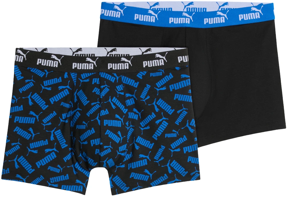 Puma Apatiniai Vyrams Men Elements Mėlyna 947802 02