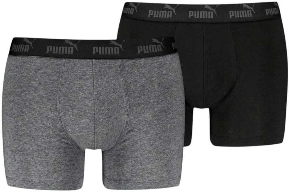 Puma Apatiniai Vyrams Men Elements Pilkas Juodas 938753 02