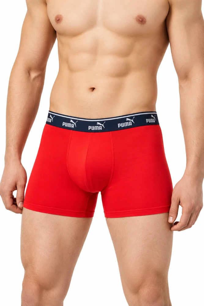 Puma Apatiniai Vyrams Men Elements Raudona Mėlyna 938748 05