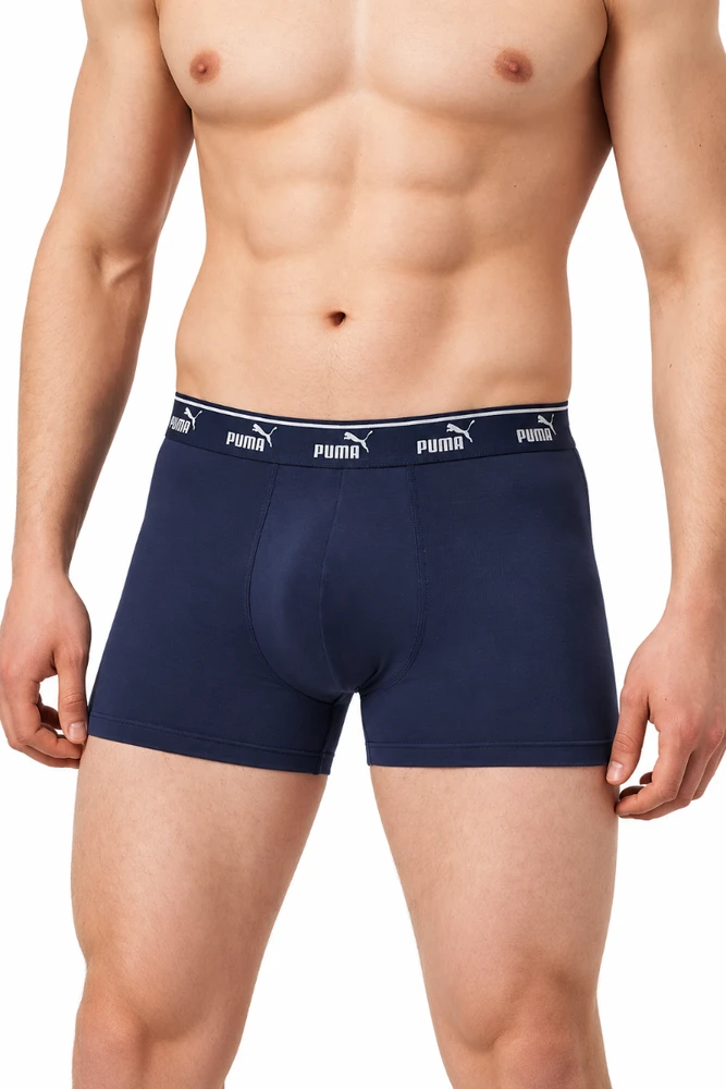 Puma Apatiniai Vyrams Men Elements Raudona Mėlyna 938748 05