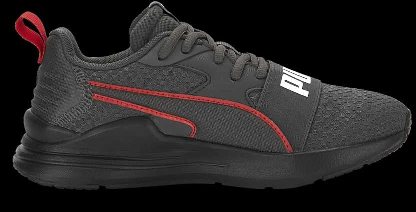 Puma Avalynė Paaugliams Wired Run Pure Jr Pilkas 390847 04