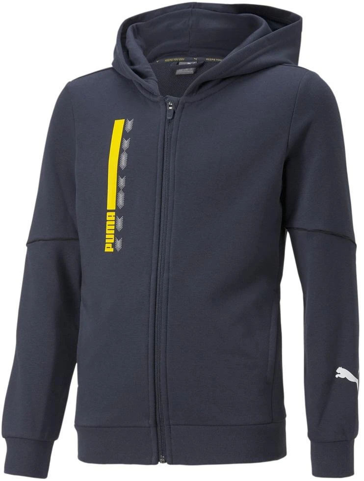 Puma Džemperis Paaugliams Active Sports Full-Zip Hoodie Mėlyna 670075 43