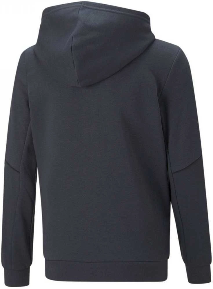 Puma Džemperis Paaugliams Active Sports Full-Zip Hoodie Mėlyna 670075 43