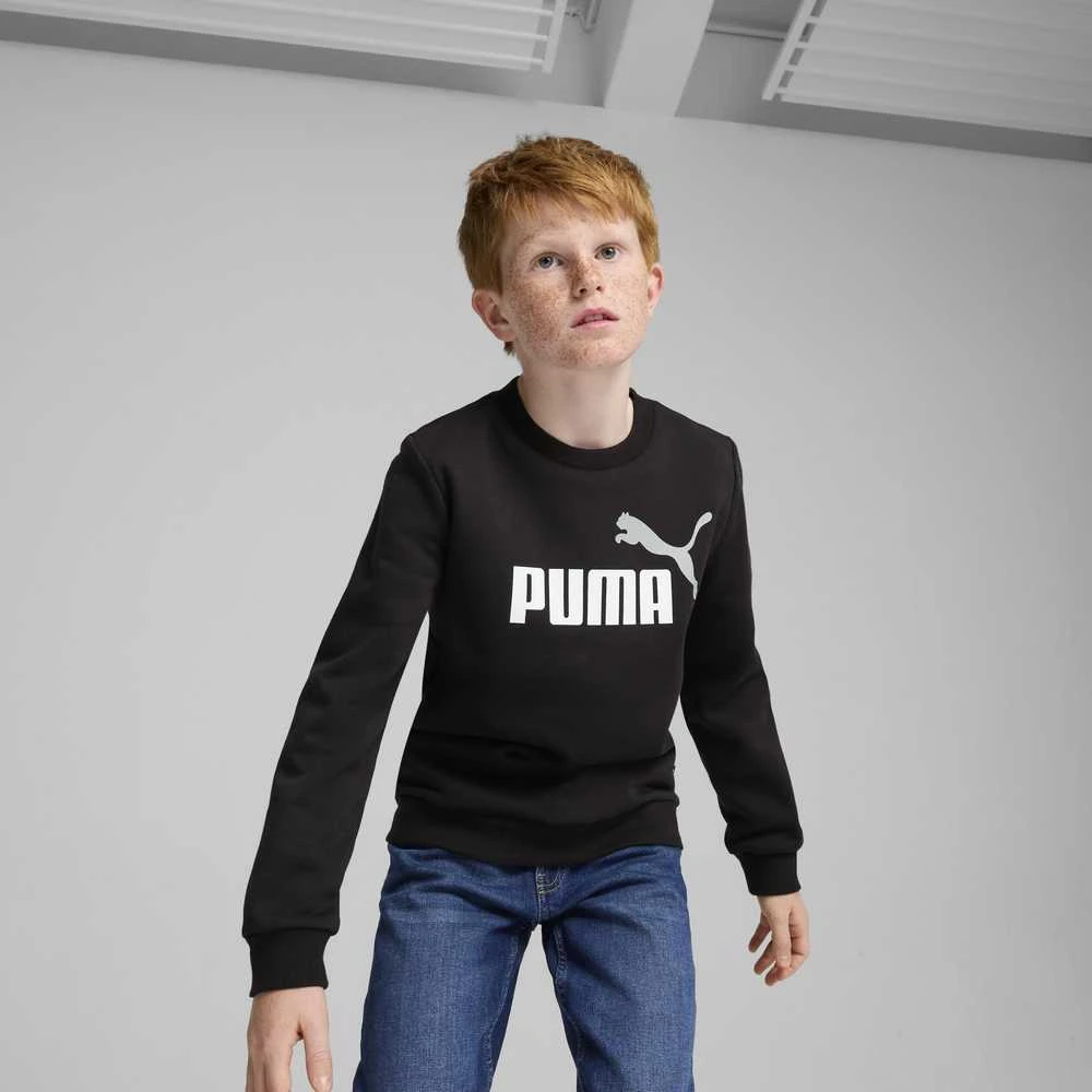 Puma Džemperis Paaugliams Ess + 2 Col Big Logo Fl Juodas 586986 60