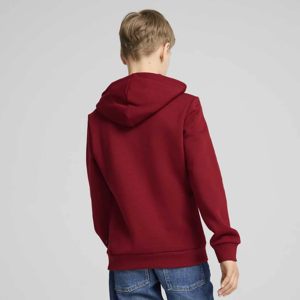 Puma Sportinis Kostiumas Paaugliams TeamRise Tracksuit Jr Juodas 658655 03