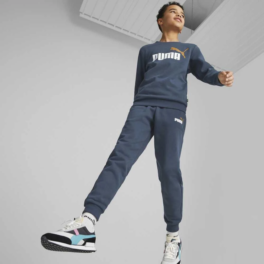 Puma Džemperis Paaugliams Ess + 2 Col Big Logo Navy 586986 16